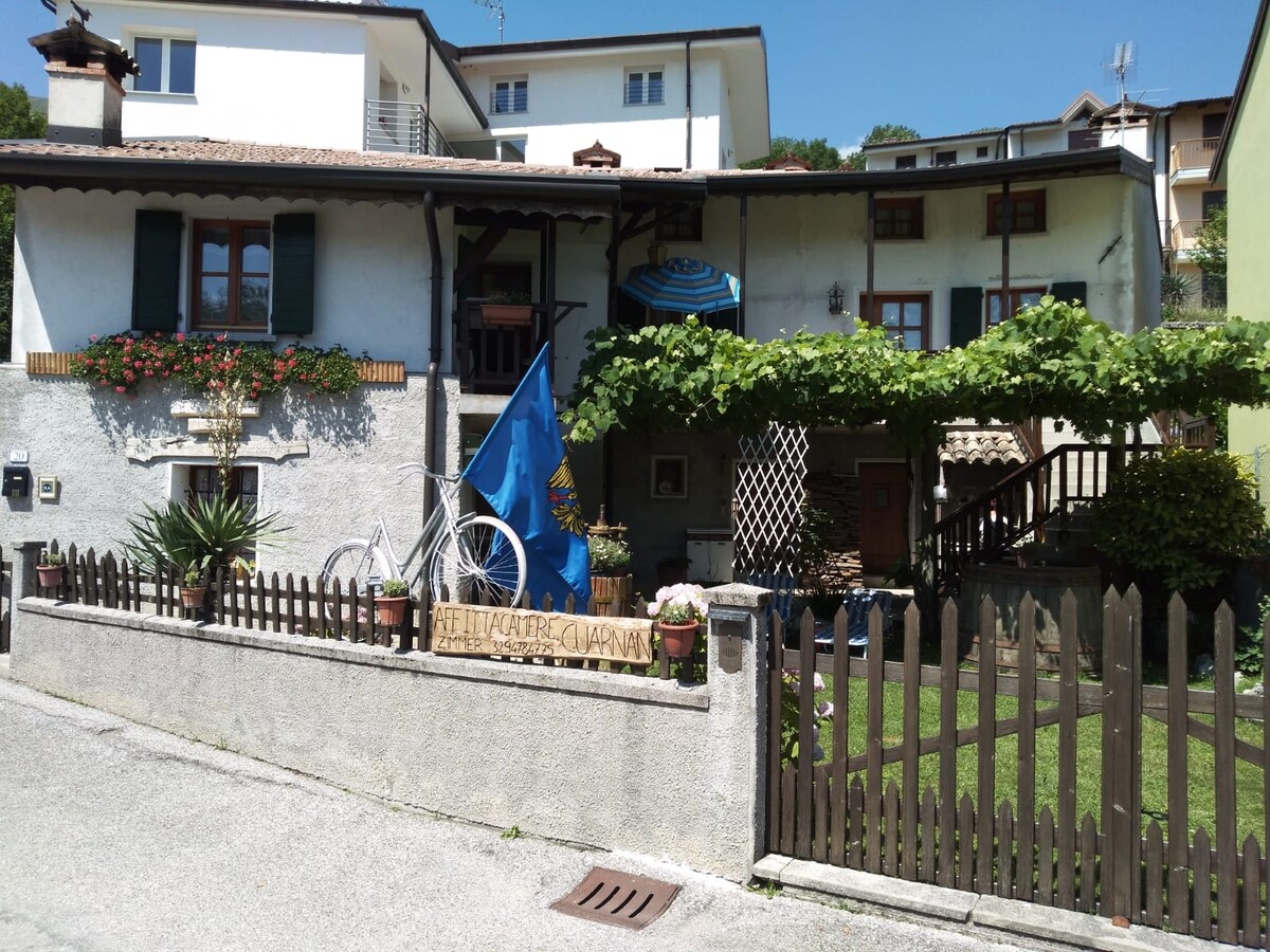 coffee shop inn verde dell albero